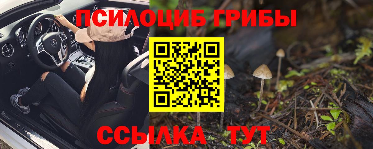 Псилоцибиновые грибы Psilocybe  Вход с VPN  Азнакаево 